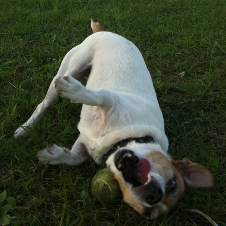 F0b4f6e7 a7ff 42dd 86cc ed8bf4aba553