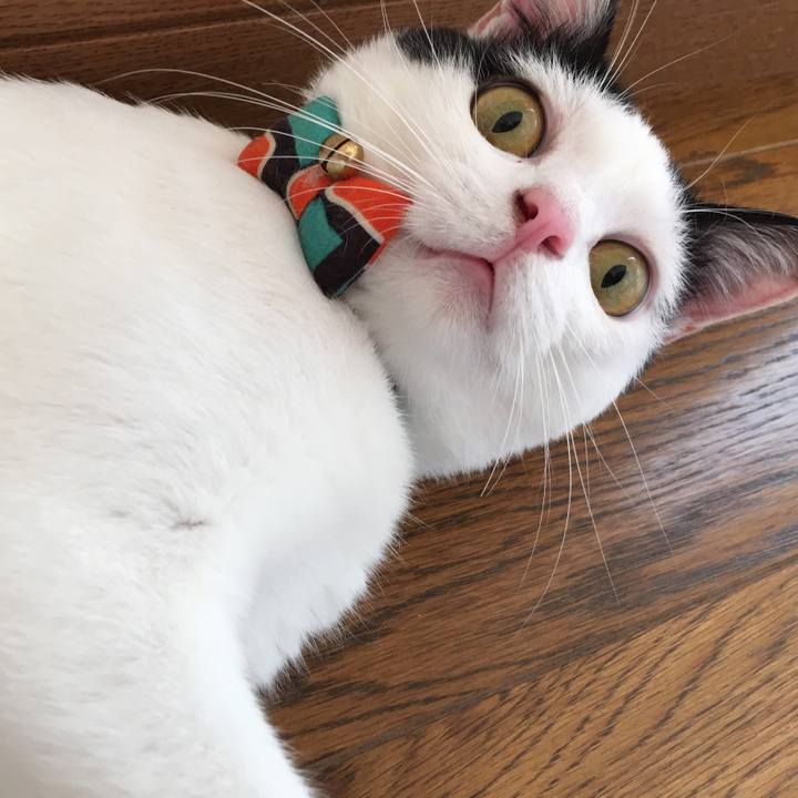 F0b59e59 fbaa 435a 8a0e 25bd8a7f6c27