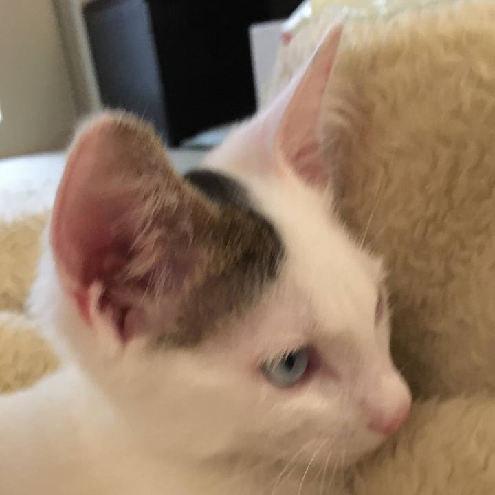 F0b642f0 f234 4c6e 87c6 01818b565e96