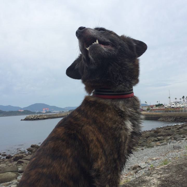 F0b670bf 8ef6 4f67 9b99 c228253cf014