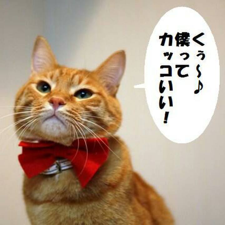 F0b6dbbe 3f3e 4d8d 9e2a 66ef6617d546