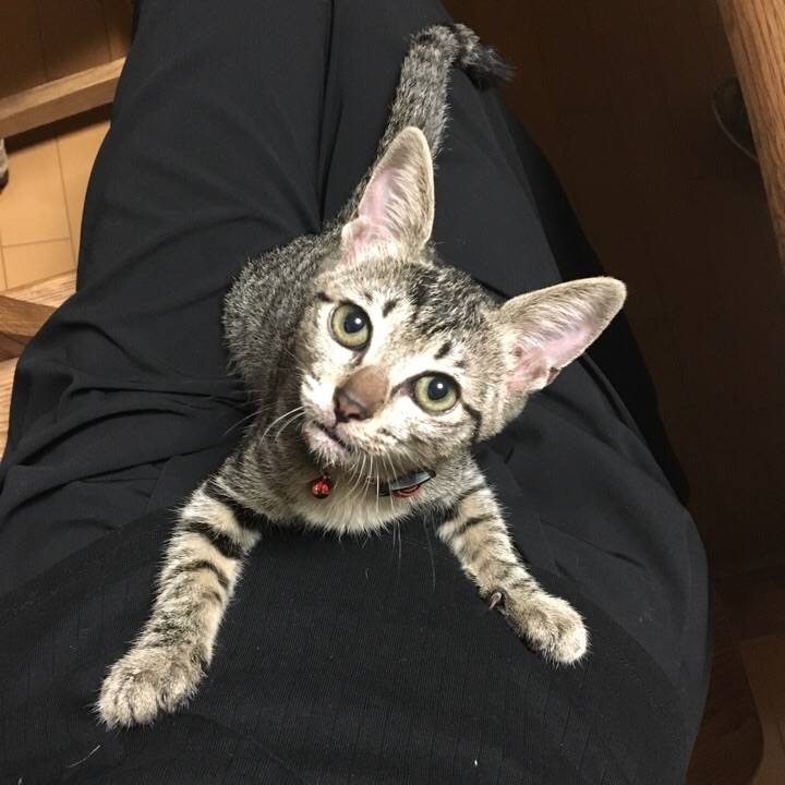 F0b6ec24 bfc5 4b5a 9647 7d01bc097772