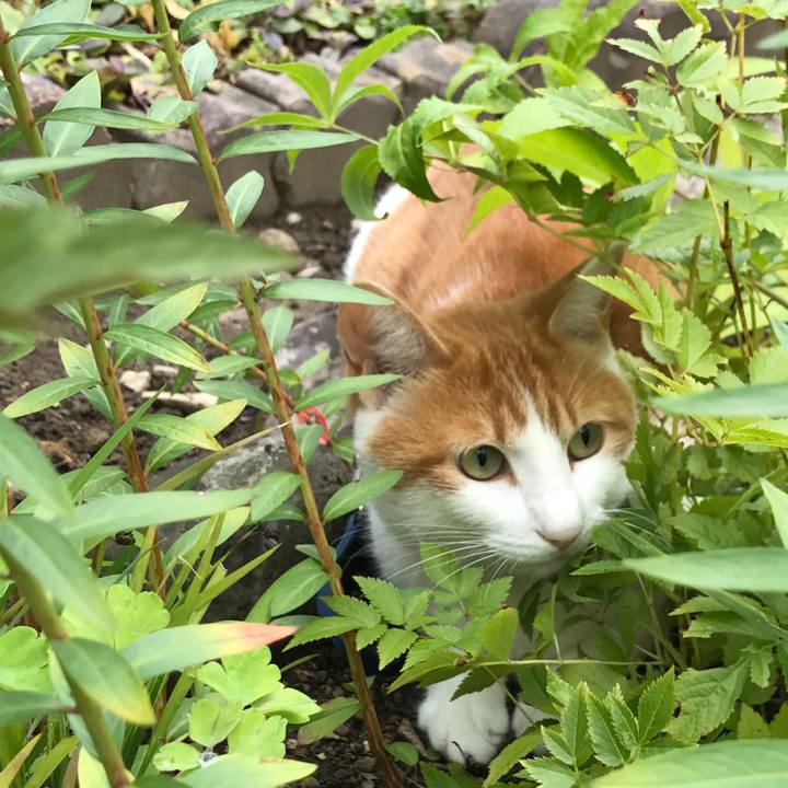 F0b77e41 362f 4a72 8d0d 647e8489b0aa