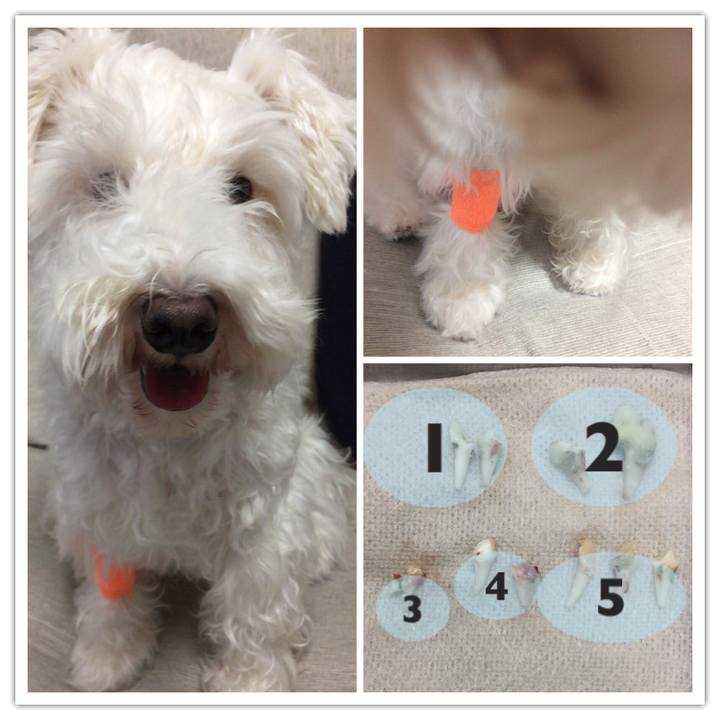 F0b82cbb b41d 415f 981e 86ab22fbb15b