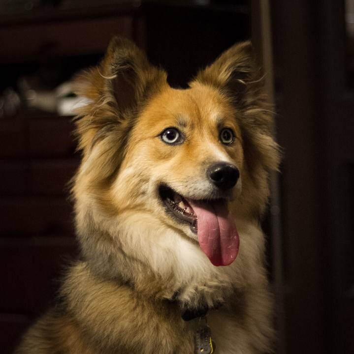 F0b8963b 9cfb 467b 9016 9cd26f26cfa5