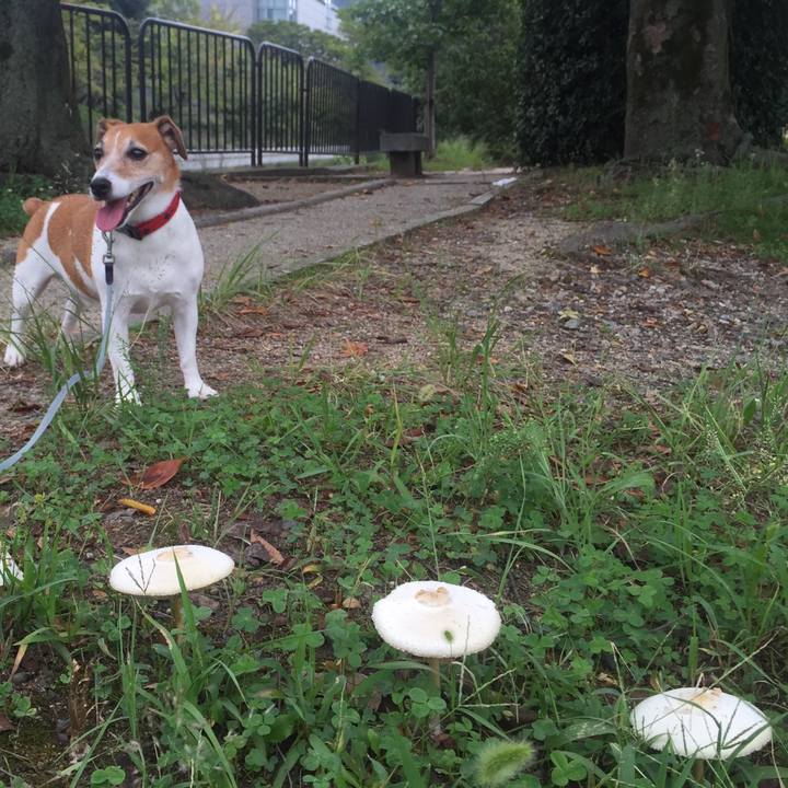 F0b8d624 81e6 44ac 817a c59bca7510e3