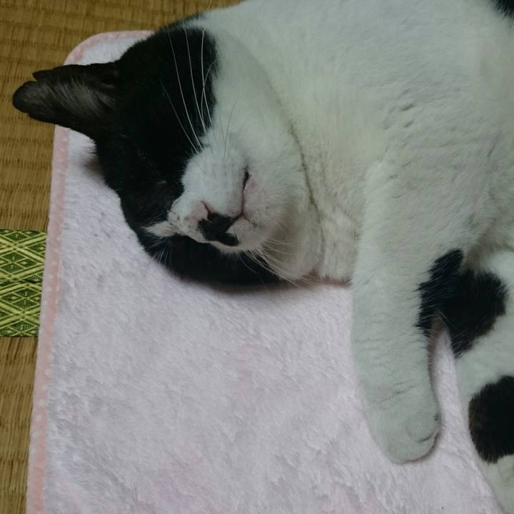 F0b91aa4 ad30 461c a7e9 22a32c1a978a