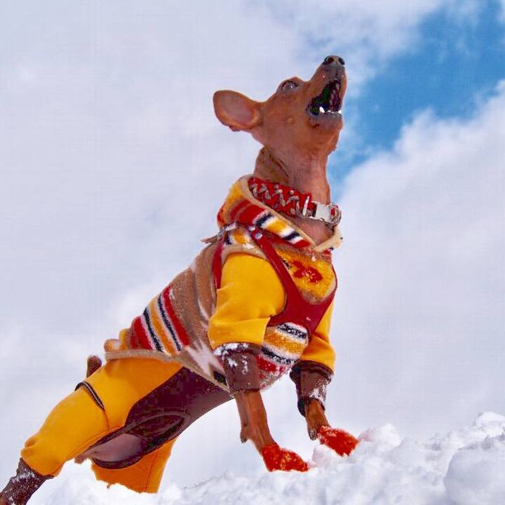 F0b92075 ec33 4494 b72b 7e15f54b5599