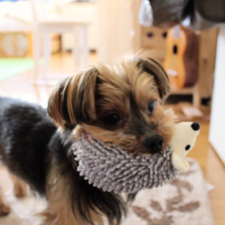 F0b9536f d0a5 46dc b7de 96a8f5b6a9e3