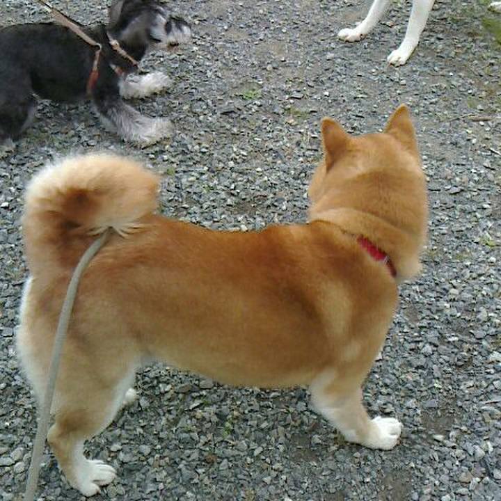 F0b9af62 48ca 42d1 b9c8 6a322a0e5ef2