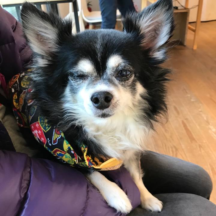 F0ba0b84 0bf7 4778 8965 61121c9730f8