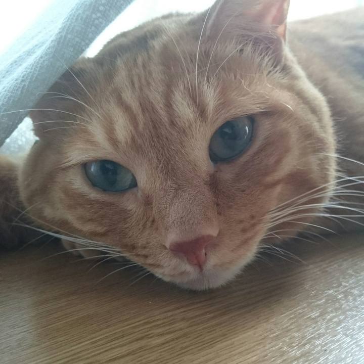 F0ba496f 04ac 4ec9 99aa 9fedc30eb920