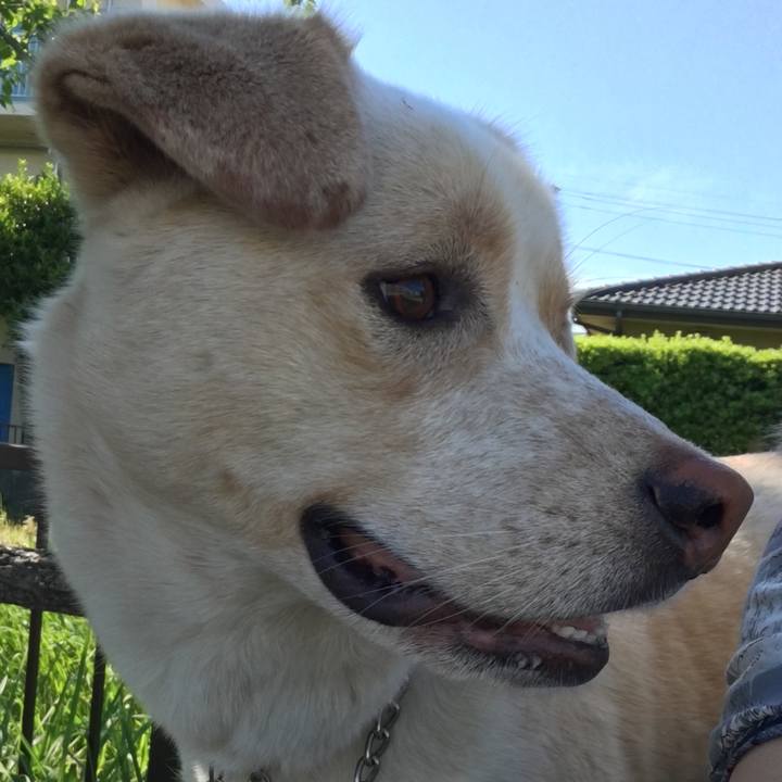 F0ba8fca 2876 4966 8f41 4846f17502e7