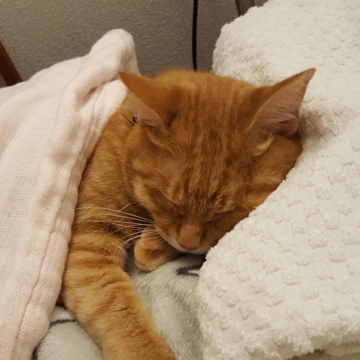 F0ba9c95 da31 434d 930a 964863f0630e