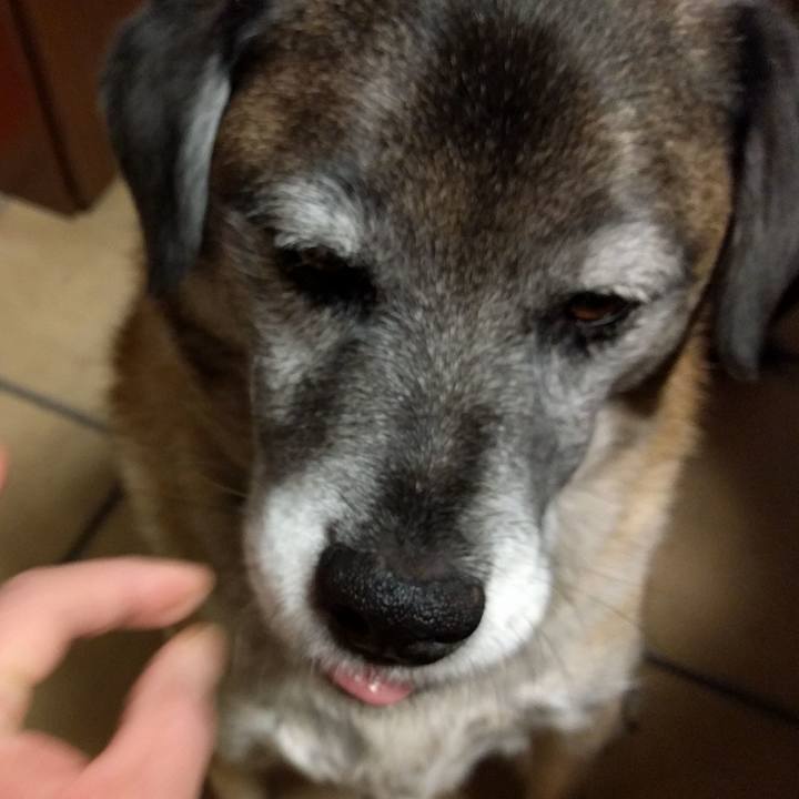 F0bab009 5466 4cb8 b65b 4a4899c3abf4