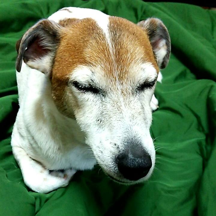 F0bab1c5 43a0 4002 9cac 35e0156c2154