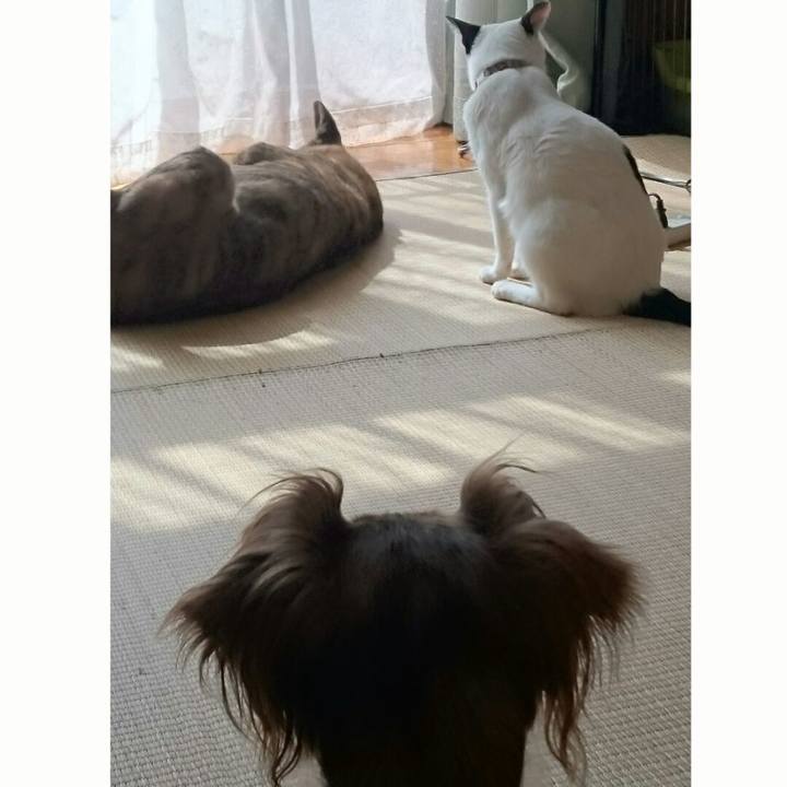 F0bab876 95d2 41f1 837e eae1240f8cb8