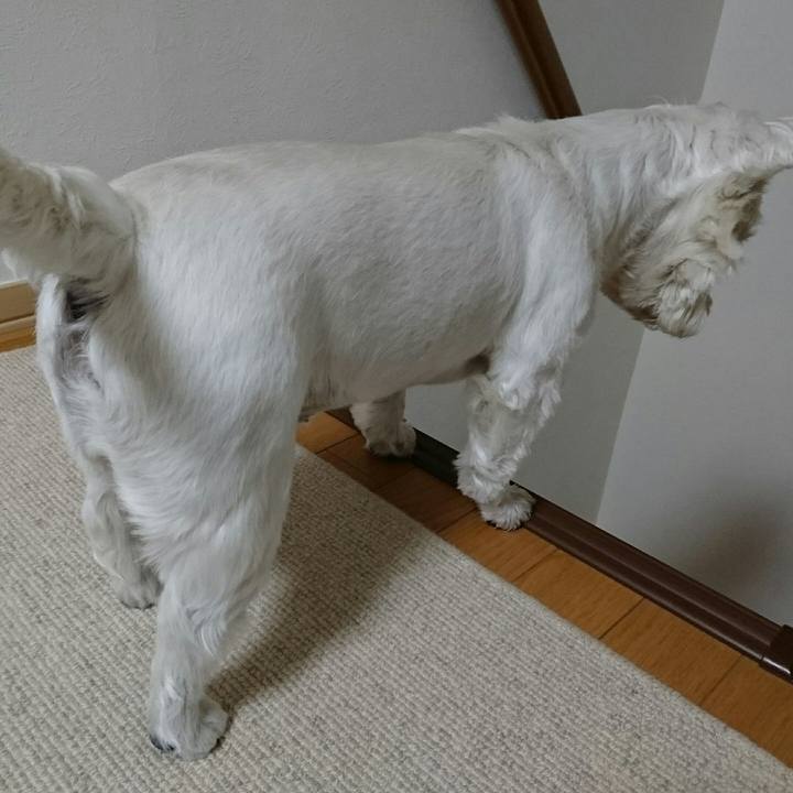 F0babd76 9947 4575 bf47 ac5779f27f87