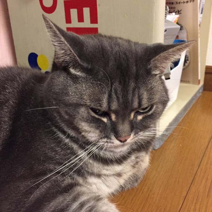 F0bb49f0 1ca3 4715 a049 7c961416b857