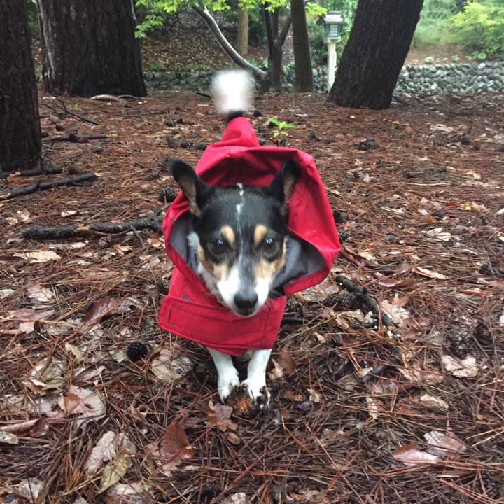 F0bbcc69 fa77 4d5b b75d 07c7775e27a9