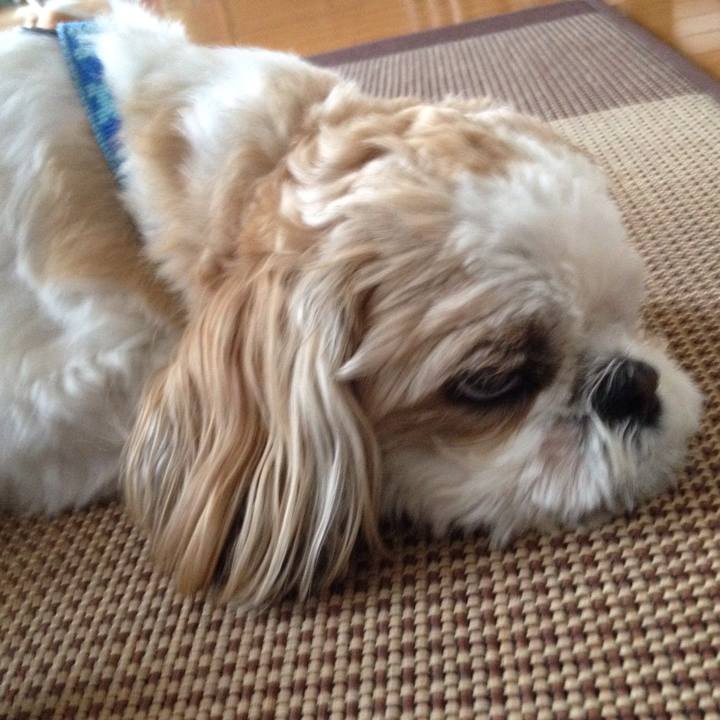 F0bbcd3c 9d83 47c2 b2d9 e6f473584784