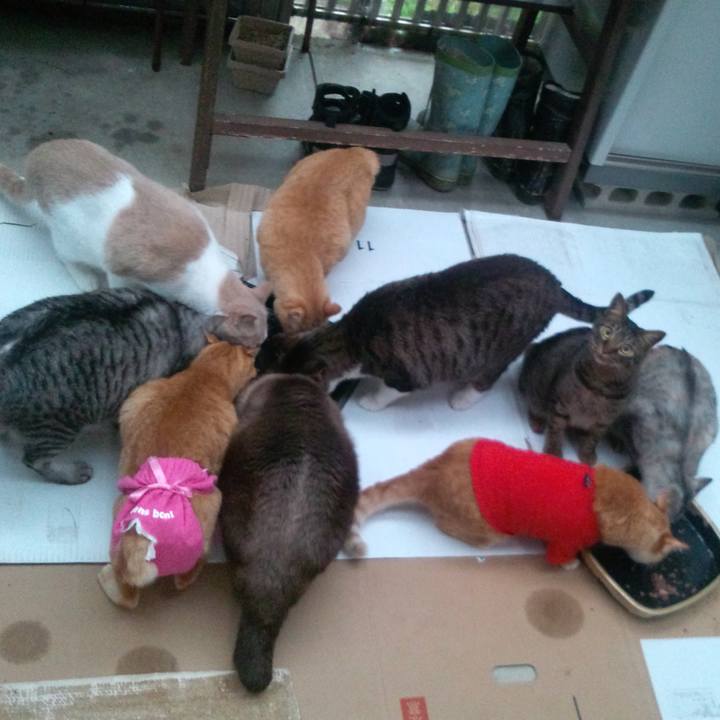 F0bc3c8e 7e0f 43a5 ba27 1cbee342b36b