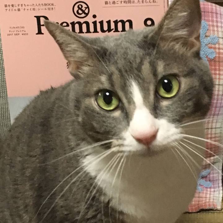 F0bc8417 9e70 4c69 803a a51ff9688fb1