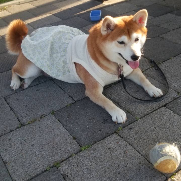 F0bd4ac5 c0ff 4748 8549 d17bcd252976