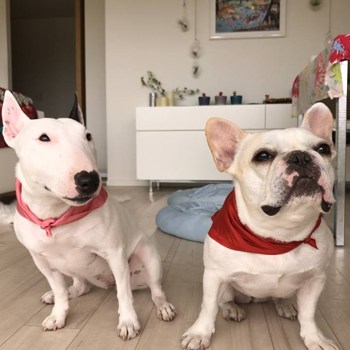 F0bdcd77 96ff 4b9b 8124 7b9bd9f69a9d