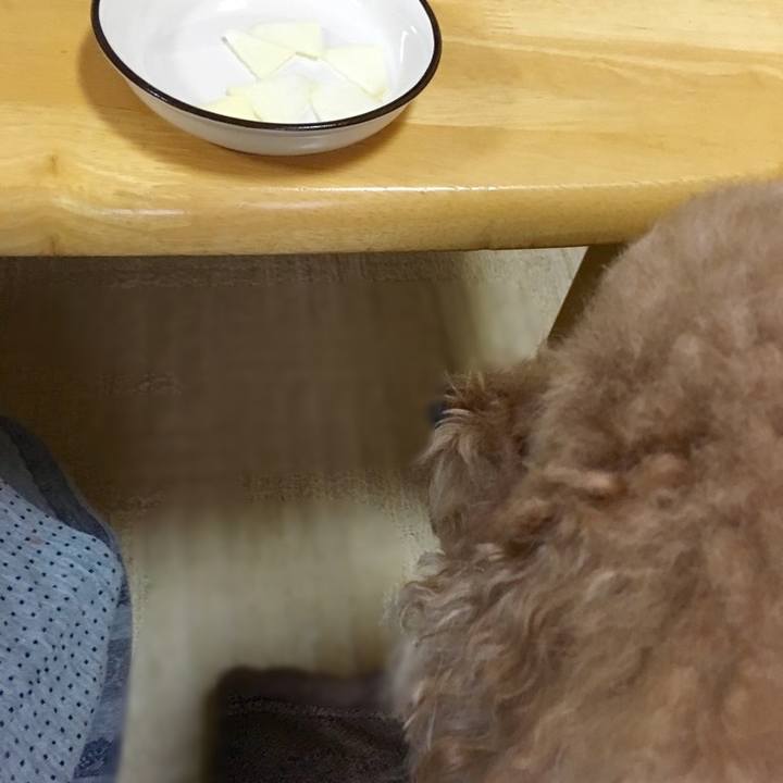 F0bdf6a8 c3ed 4c9f 9a29 a1cb1bc30938