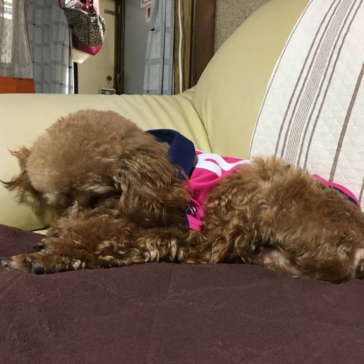 F0bdfea8 afbc 4a21 97f8 ec96b86bf5ea