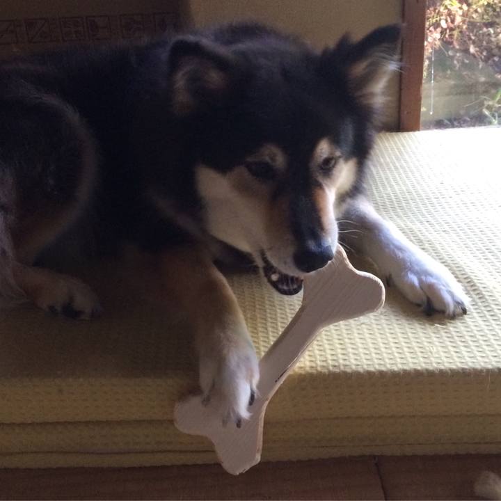 F0bef016 7da4 4ea0 b9d1 14725beed2e5