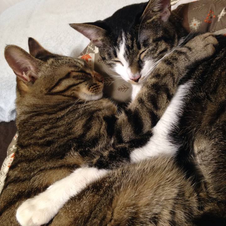 F0bf0124 a083 48e6 bdeb 5f3eaf680b54