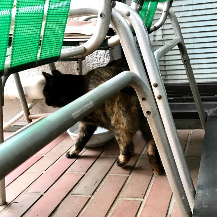 F0bf03c2 fd7e 44c1 8487 5c877509191a