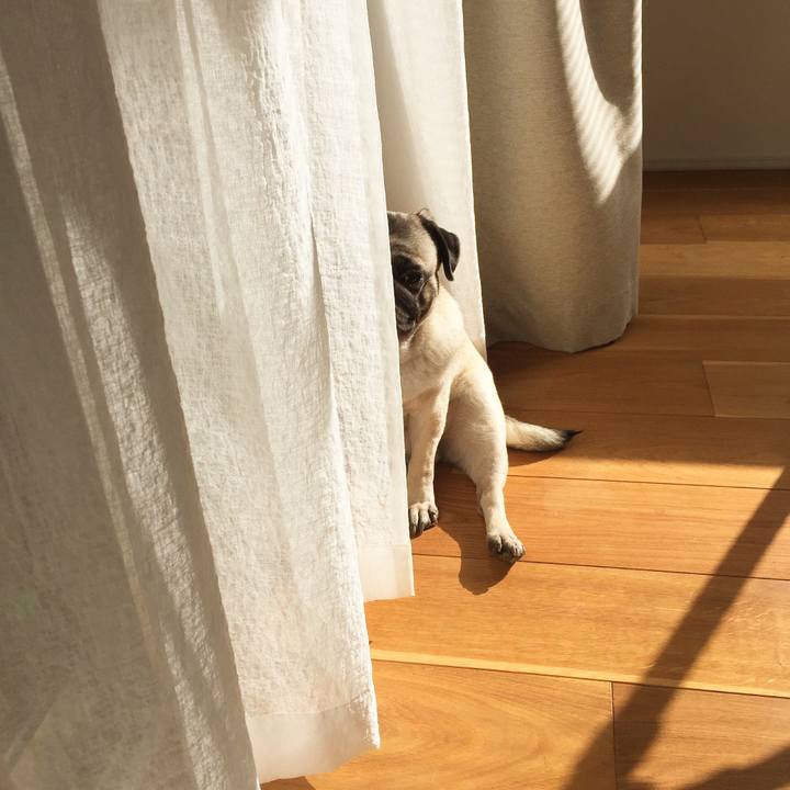 F0bfa1d7 4a00 44e0 91e0 d6780864724d