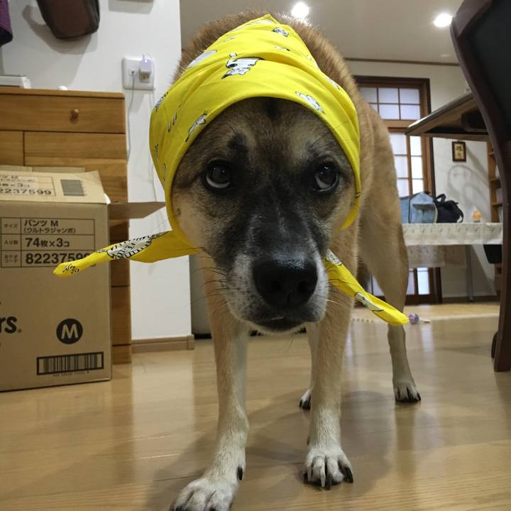 F0c02b03 6671 4fc3 bda0 3b8de438c689