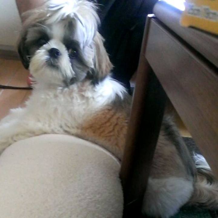 F0c1962f cf72 496b 9e49 83218e0263f8