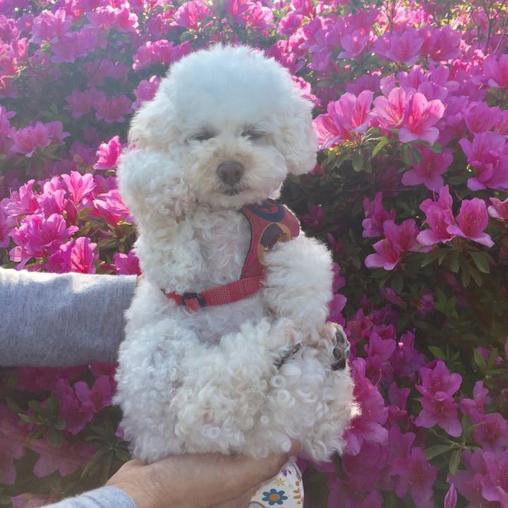 F0c3803f 1fd0 4b3b b833 28e8dcaed5de