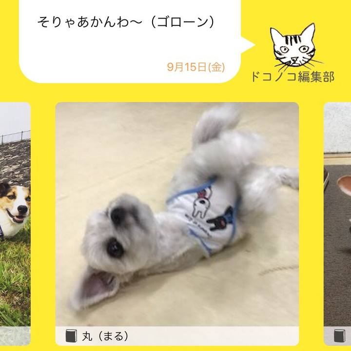 F0c42880 fc1e 4c4b ac1c 120833a45886