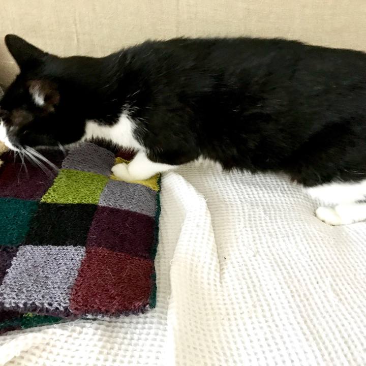 F0c47e37 c2eb 499f 9338 1e22cabed599