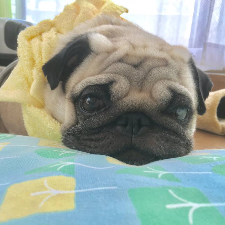 F0c483ae 1543 4c00 9cf9 672b3eaf6152