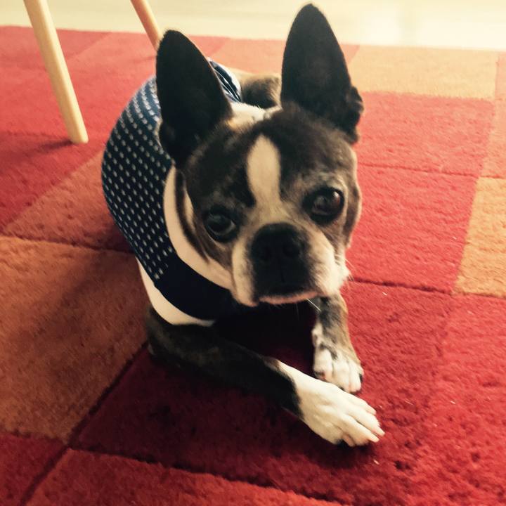 F0c493e7 feee 419a 863c 378ae16ac1e8