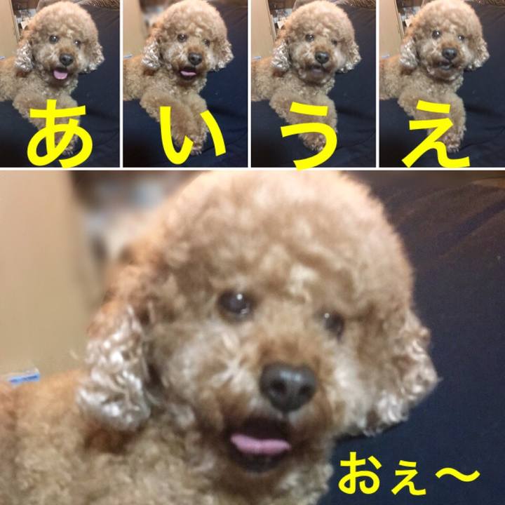 F0c603c8 aa62 44ee 83a9 0cb062a0e6d7