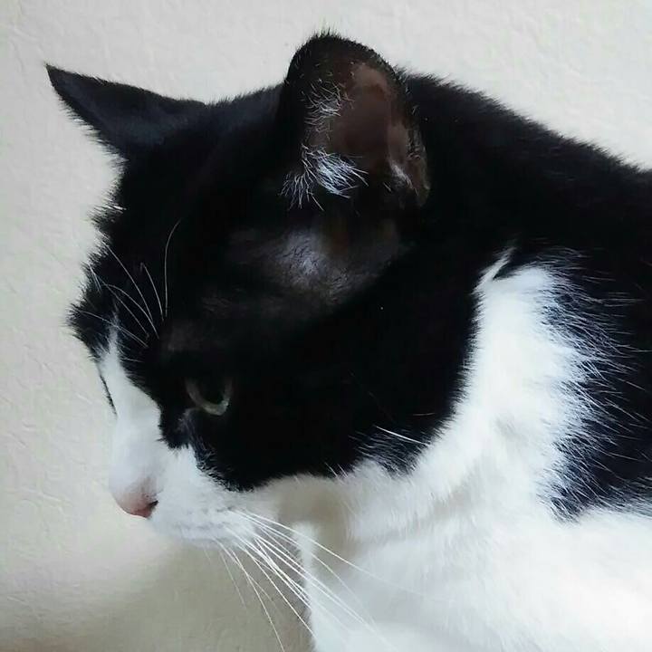 F0c60f1d b301 40fa bf16 50cd5c905f29