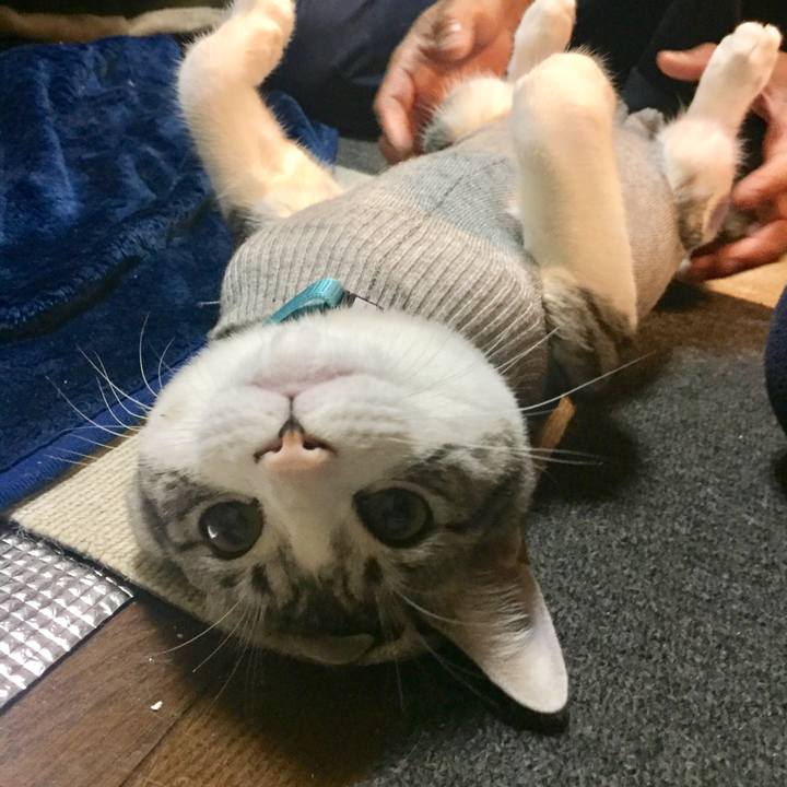 F0c61b04 b39d 465e ab90 c53cb9643925