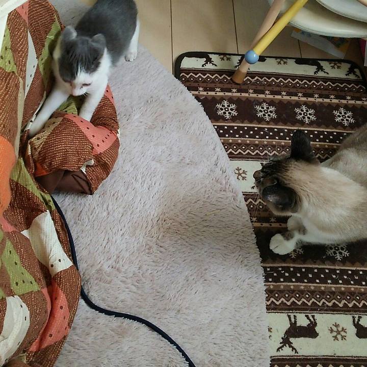 F0c646db a7ad 477d 957b 43e90a662b5f