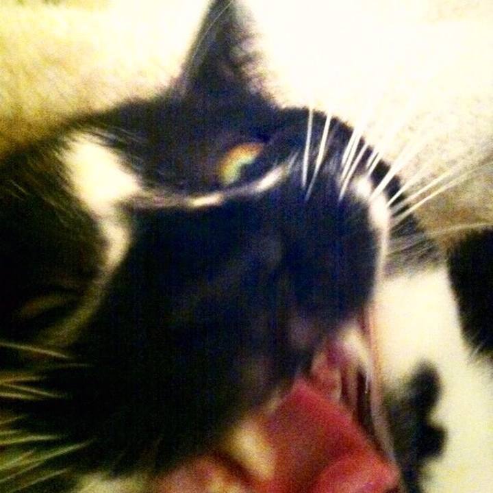 F0c67484 ac3f 4e62 b823 672472e774ca