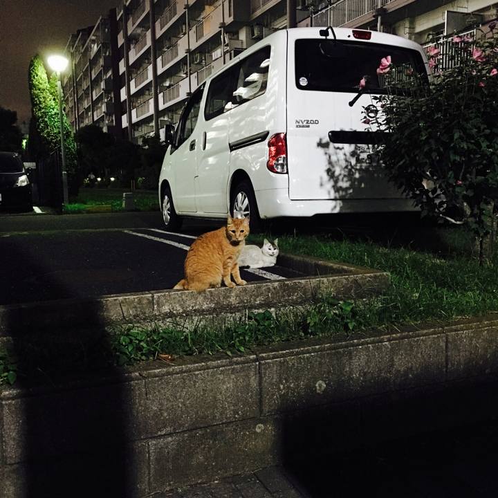 F0c8e858 02cf 43fa 9751 f12e39e87606