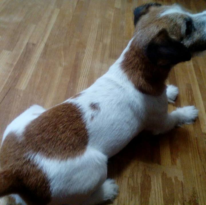 F0c90608 c38f 4c3b acc7 fd606fb0d5a7