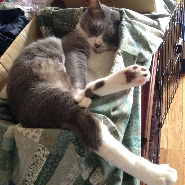 F0c97e66 f1c5 4c46 ae62 c1a4fc64b8d9